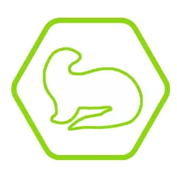 loutre jukoa