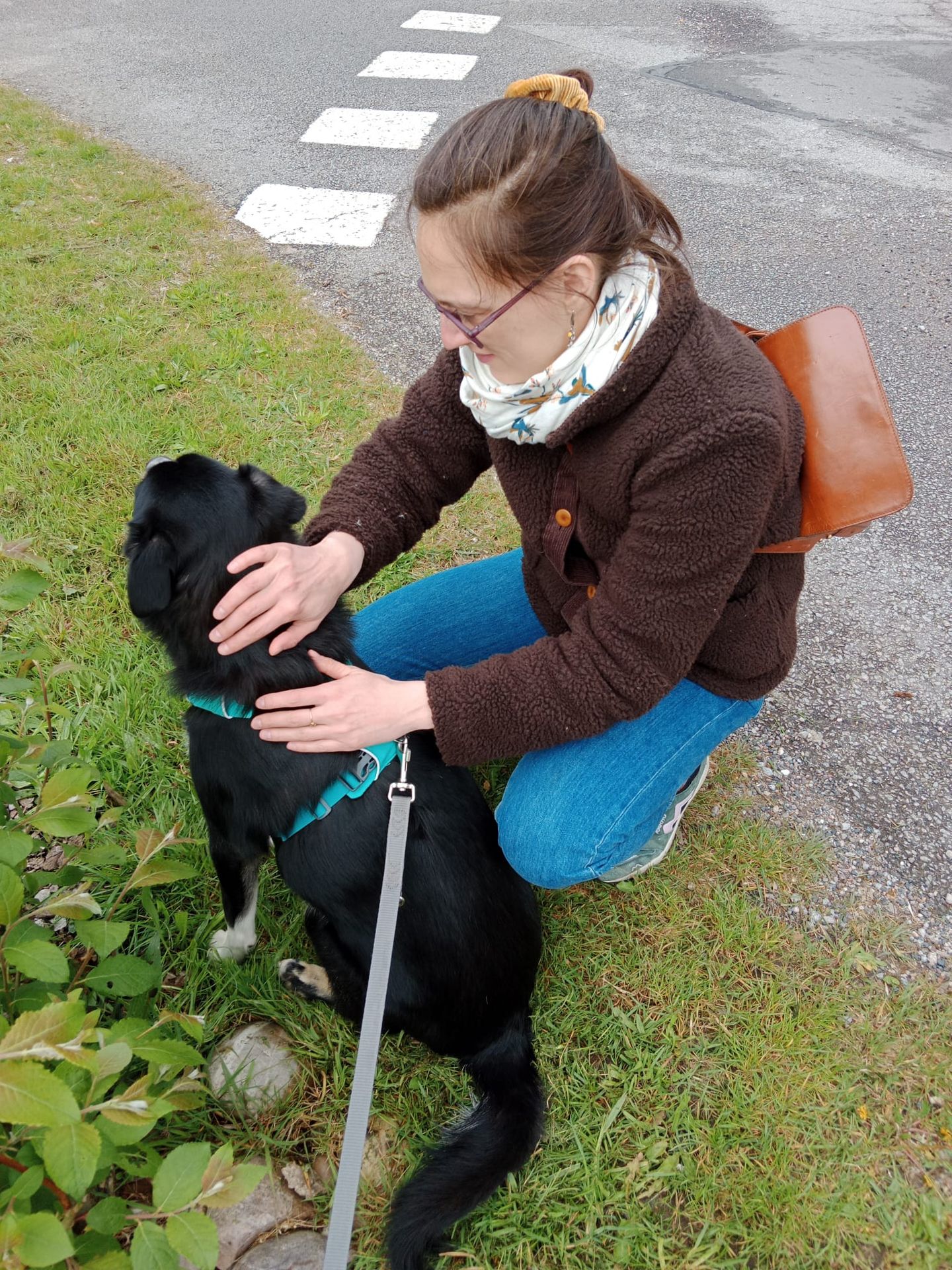 médiation animale phobie