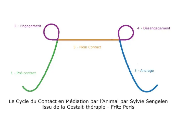 cycle contact