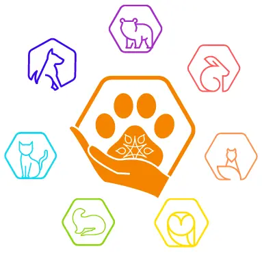 chakra animal