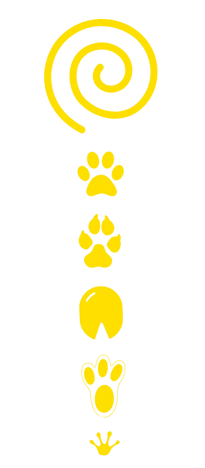 plexus solaire animal jukoa plexus solaire animal jukoa