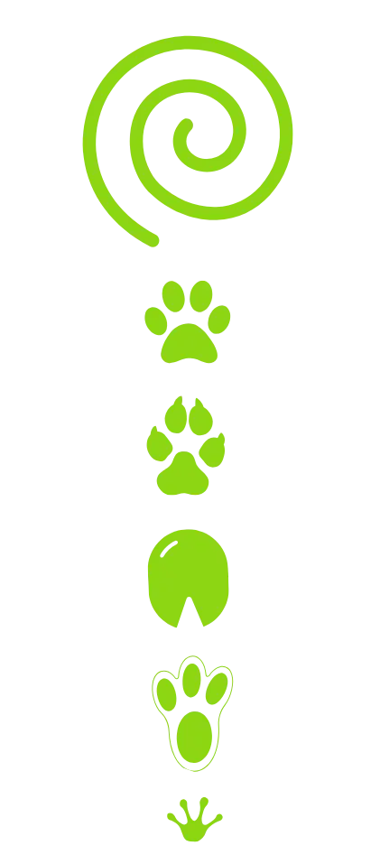 coeur animal jukoa coeur animal jukoa