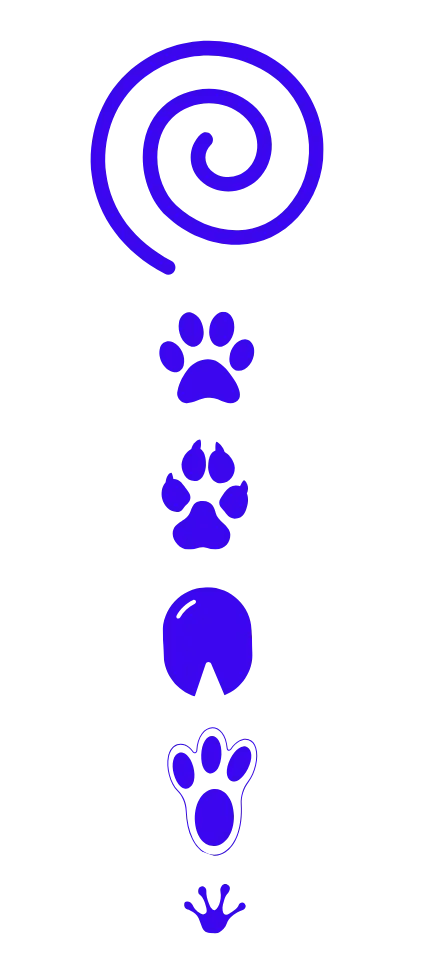 3oeil animal jukoa 3oeil animal jukoa