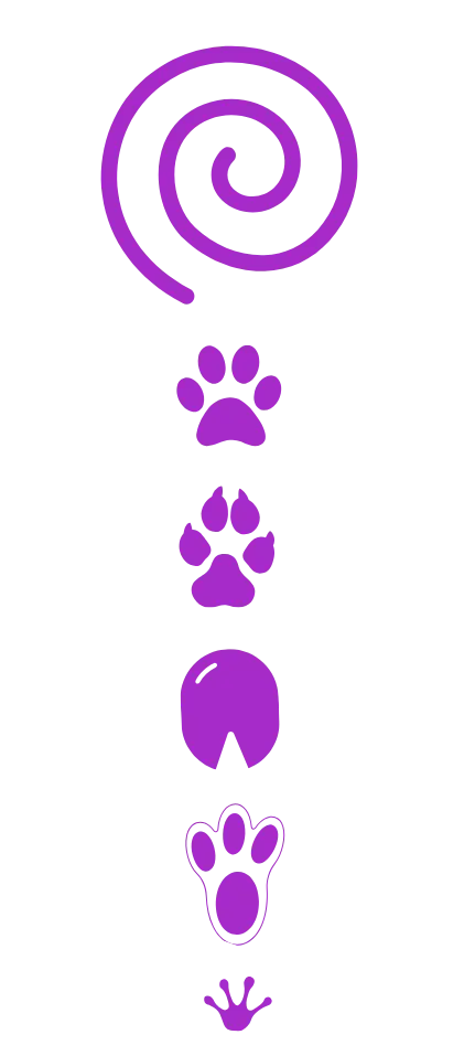 coronal animal jukoa coronal animal jukoa
