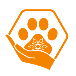 Logo JUKOA